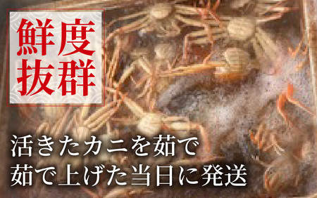 【先行予約】せいこがに 約150g以上×5杯【11月～12月発送】 日本海 直送