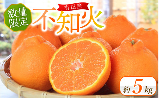 先行予約 紀州有田産 不知火(しらぬひ)  約5kg ＜2026年2月中旬頃〜2026年3月中旬頃発送＞ 不知火 デコポン みかん ミカン 柑橘 果物 くだもの  フルーツ 旬 和歌山【uot709A】
