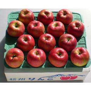 有機肥料栽培 りんご ふじ5kg｜伊那 りんご ふじ フルーツ 果物 甘い 農園 林檎 ふるさと納税 長野県【011-05】