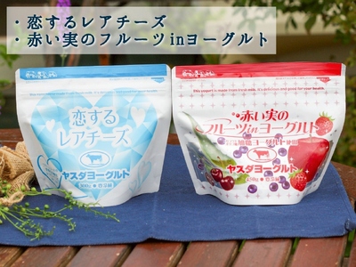 【3年連続最高金賞】ヤスダヨーグルト 新発見セット 化粧箱 搾りたて こだわり生乳 濃厚 飲むヨーグルト のむよーぐると ヨーグルト レアチーズ カフェオレ ミルクティー クリームチーズ フロマージュ