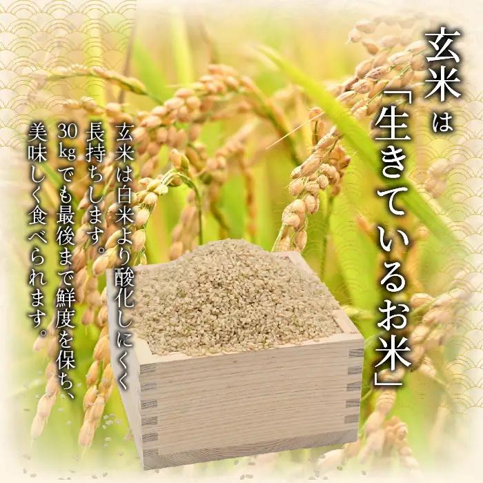 【2027年2月発送】令和 8 年産 【 配送時期が選べる 】 奈井江町 ゆめぴりか 玄米 30kg 特 A ランク評価 低タンパク追求 JA 新すながわ 大容量 クリーン農業 北海道米 ブランド米 