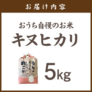 おうち自慢のお米 キヌヒカリ5kg【1298-2】