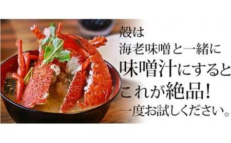 【 訳あり 】 伊勢海老 冷凍 400g いせえび 海老