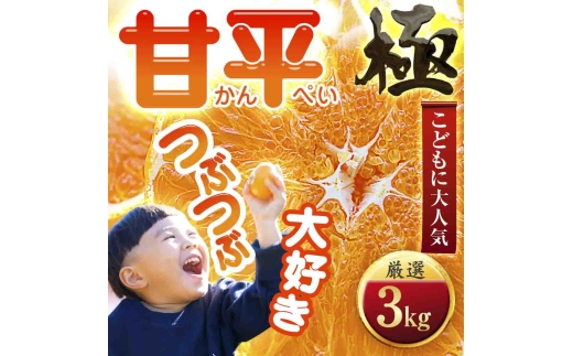 ＜甘みぎっっしり!＞シャキシャキ甘い♪♪＜甘平＞3kg＜E49-64＞_みかん ミカン 柑橘 甘平 かんぺい 果物 くだもの フルーツ 甘い 希少 愛媛 デザート 愛媛みかん 密柑 シャキシャキ 高糖度【1509767】 YWTZ056