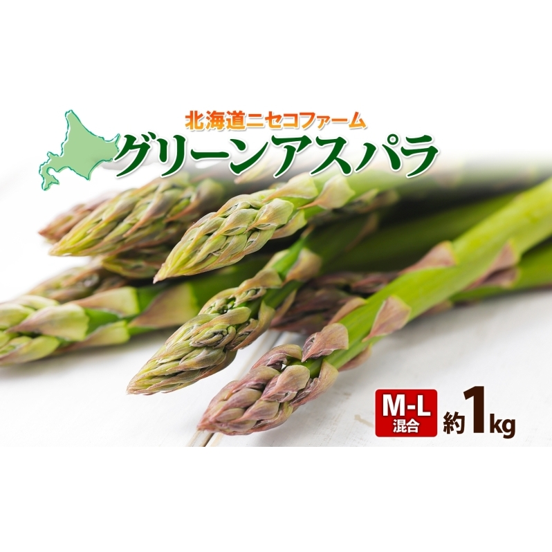 【 2025年 先行予約 】 北海道産 グリーン アスパラガス 約1kg M - L サイズ混合 アスパラガス アスパラ 旬 朝採り 新鮮 お取り寄せ 産地直送 産直 野菜 農作物 詰め合わせ 国産 