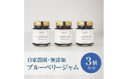 
										
										agri doブルーベリージャム3個入り 三島紫紅果（みしまぶるーべりー）【 静岡県 三島市 】
									