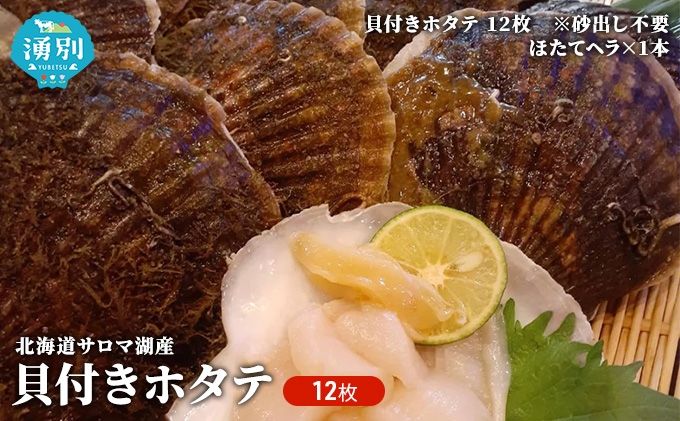 
[№5930-0312]北海道　サロマ湖産　貝付きホタテ 12枚　【日時指定不可】
