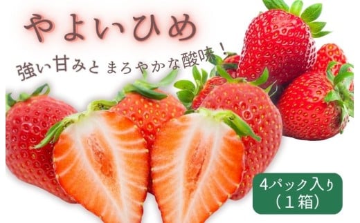強い甘みとまろやかな酸味！　やよいひめ　4パック1箱