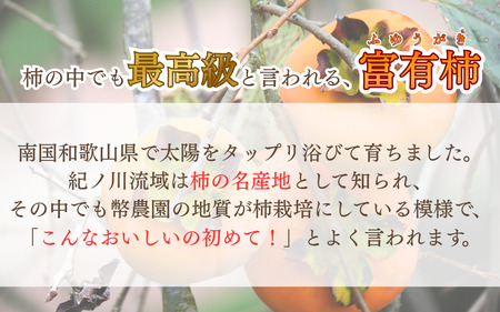 先行予約 富有柿  約2.5～3kg 秀優混合 サイズ混合 【2026年11月中旬～12月下旬頃発送予定】～こんな美味しいの「食べるのはじめてや!」の感動をお届けします。～ / 柿 富有柿 和歌山県 