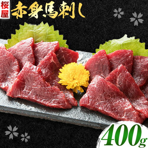【ふるさと納税】 馬刺し 赤身馬刺し 400g タレ付き 1本 150ml 桜屋《30日以内に出荷予定(土日祝除く)》 熊本県 産山村 送料無料 肉 馬肉 馬さし タレ 赤身