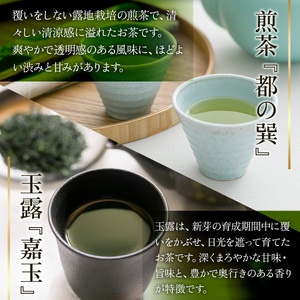 【中村藤吉本店】 煎茶『都の巽』・玉露『嘉玉』詰合せ AZ60