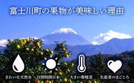 【朝採れももを直送！】富士川町産もも（8～9個入り/3kg前後）フルーツ　果物　モモ　桃　山梨　富士川町　大玉　甘い　【B6603】