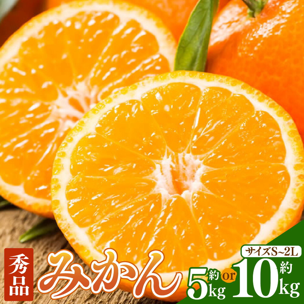 【ふるさと納税】＜選べる内容量＞ みかん 秀品 5kg / 10kg S～2L ミカン 蜜柑 極早生 極早生みかん 柑橘 かんきつ フルーツ くだもの 果物 果実 デザート 露地栽培 おやつ 冷蔵 熊本県産 国産 熊本県 熊本市 送料無料 【2026年10月上旬～2027年2月下旬発送予定】