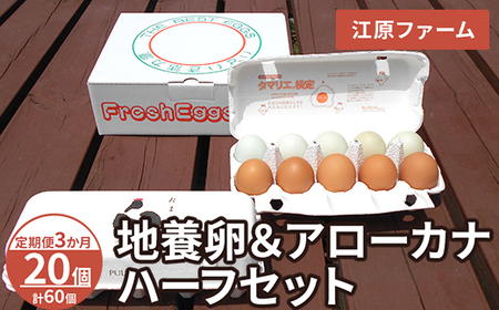 【定期便3か月】 江原ファーム　地養卵＆アローカナハーフセット（計20個）| 卵 たまご タマゴ _AG25