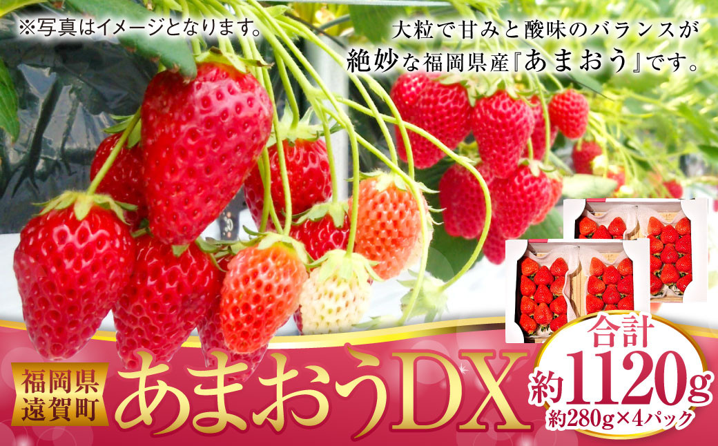 
                  あまおうDX 約250～270g×4パック あまおう いちご イチゴ 苺 果物 くだもの フルーツ【2027年2月上旬～4月下旬発送予定】
                