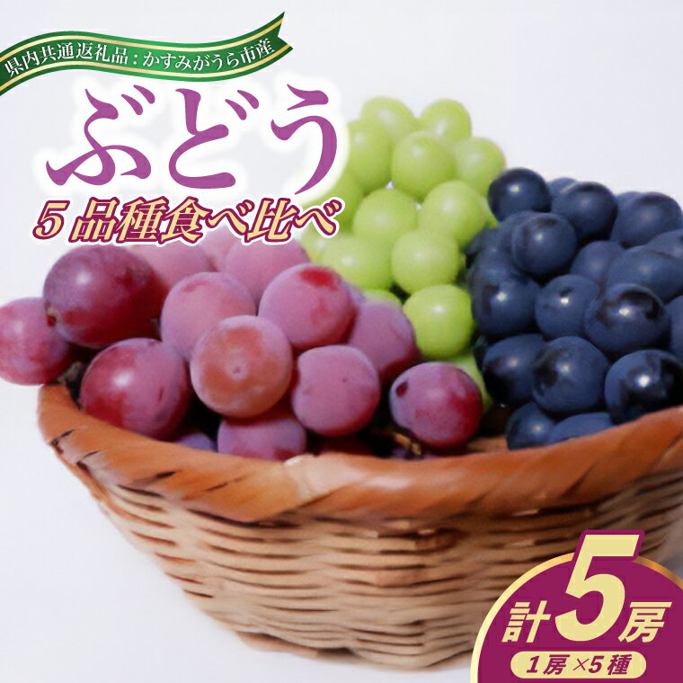 【ふるさと納税】【2025年8月より順次発送予定】ぶどう5品種食べ比べ(県内共通返礼品:かすみがうら市産)【配送不可地域：離島・沖縄県】 (BR077)