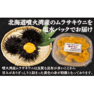 ふるさと納税 豊浦町 先行受付 うに 塩水ムラサキウニ 80g×3 北海道豊浦 噴火湾【配送不可地域:離島】TYUR022 |  | 02