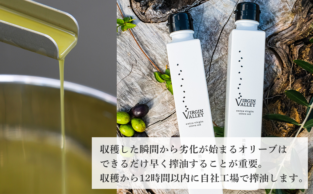 3本セット！「Virgin Valley 淡路阿利布」182ｇ（エキストラバージンオリーブオイル）【2024年度産】