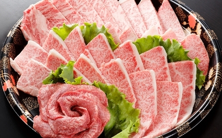 【定期便 4回発送】食卓を彩る黒毛和牛(ヒレステーキ・ローススライス・焼肉セット)と馬刺しの定期便