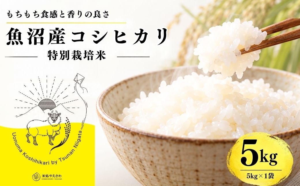 
                  【令和8年産 コシヒカリ】魚沼産コシヒカリ 特別栽培米 5kg(5kg×1袋) | 新潟県産コシヒカリ 魚沼産こしひかり 米 お米 こしひかり 白米 精米 ブランド米 津南町 米処やえざわ
                