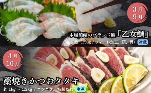 刺身 定期便 6ヶ月 小島水産 がお届けする！ 美味しい お刺身 大容量 コース ( 鮮魚 下処理済 )  産地直送 半年 新鮮 鮮魚 ( 6回 お楽しみ 定期便 お刺身 かつお タタキ カツオ 鰹 