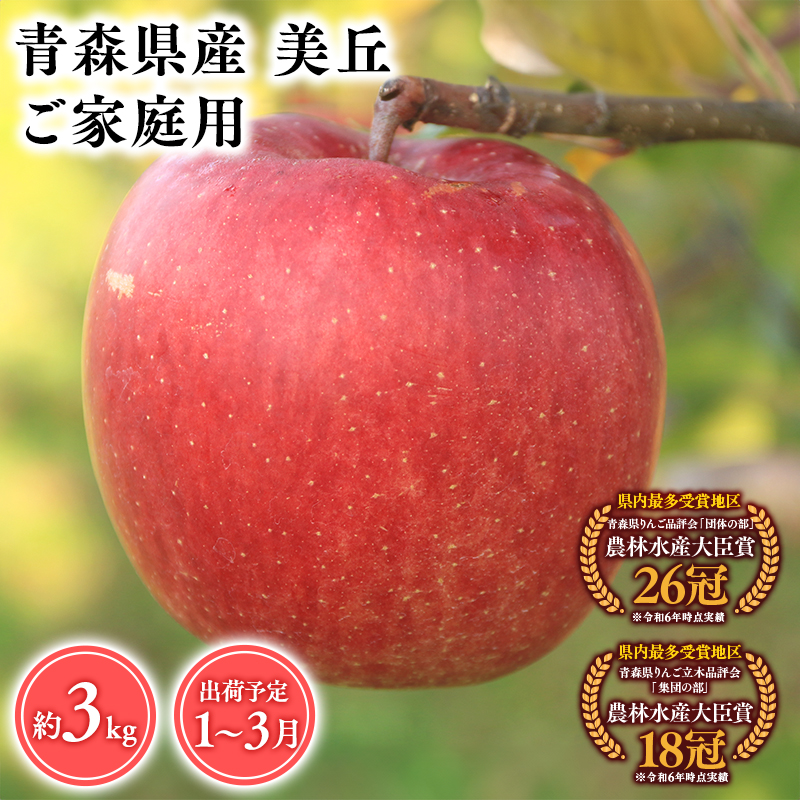 2027年1～ 3月発送　【訳あり】家庭用美丘3kg【青森県 平川市 そと川りんご園】