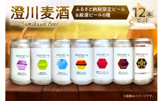 【先行予約】澄川麦酒ふるさと納税限定ビール6本＋厳選6本　12本セット | 地ビール クラフトビール ビール 晩酌 北海道 札幌市