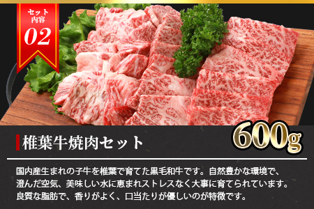 総重量2.1kg！【3種の牛肉】焼肉食べ比べセット【椎葉牛・椎葉プレミアム牛・宮崎県産和牛】