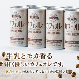 【6ヶ月定期便】サンAカフェオレ185ｇ缶30本入り×2ケース 【 飲料 カフェオレ 缶 ジュース 長期保存 九州 宮崎県産 川南町 送料無料 】