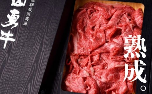 【訳あり】飛騨牛 切り落とし 切落し 600ｇ 牛肉 和牛 飛騨の牧場で育った熟成肉『山勇牛』