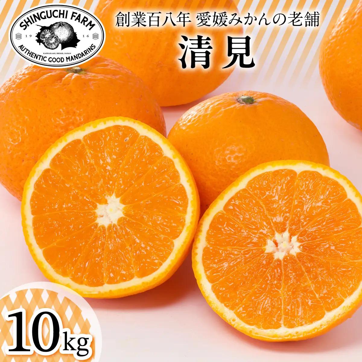 【先行受付】【産地直送】五代目が厳選した清見 10kg 愛媛県産【G70-15】【1470710】 YWTK015