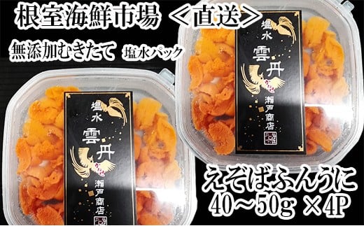 B-11093 無添加むきたてエゾバフンウニ(赤系)塩水パック40～50g×4P[2026年1月中旬以降発送]