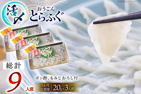 ふぐ 刺身 セット 活〆 おうごんとらふぐ 刺身セット 3人前 3回 定期便 [松永水産 長崎県 平戸市 hr42bgy400161]