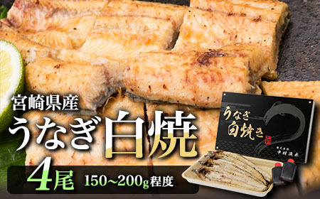 【2週間以内発送】うなぎ 白焼き 4尾 計600g以上 鰻 化粧箱入り D135
