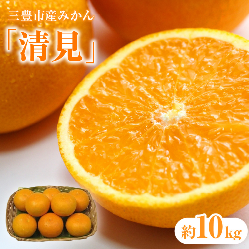 M02-0076_【ふるさと納税】【先行予約】【配送不可地域：北海道・沖縄県・離島】 三豊市産みかん「清見」約10kg  秋 旬