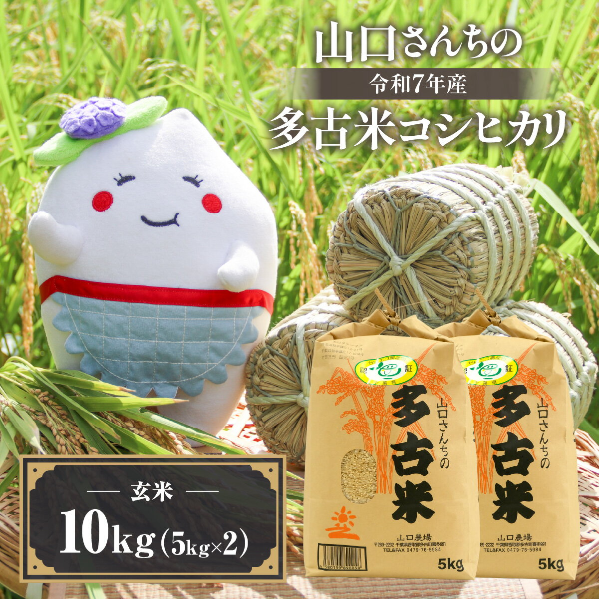 【ふるさと納税】山口さんちの【令和7年産】多古米コシヒカリ(玄米)10kg【配送不可地域：離島・沖縄県】【TAKF046】