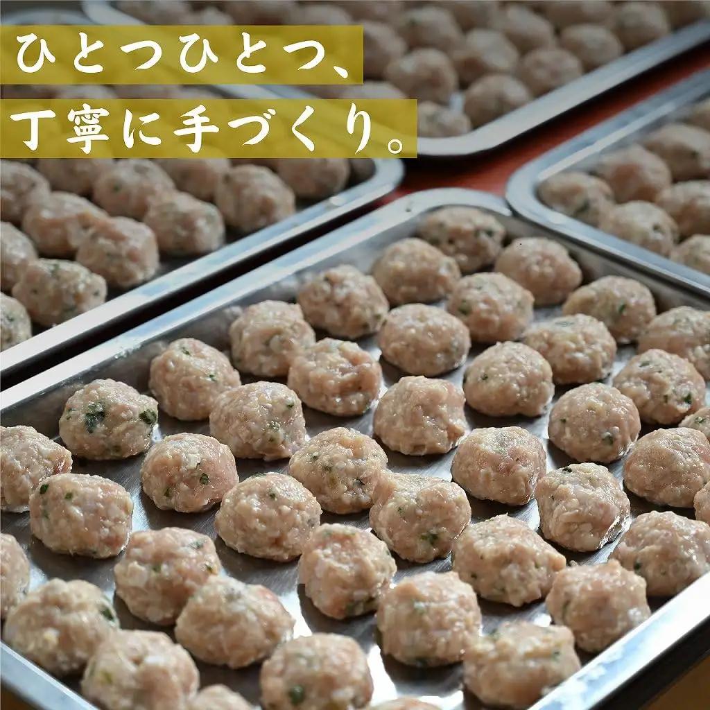 鶏つくね餃子 10個×4パック［A-084003］