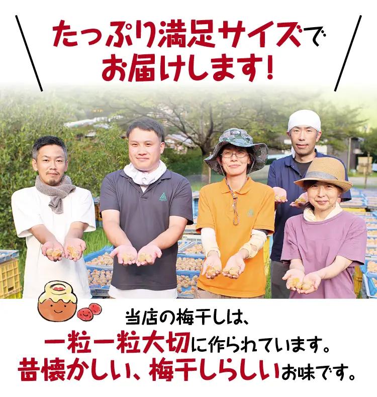 梅干し 無添加 完熟南高梅  2.5kg (1.25kg×2P) 塩分約20％ 梅干し【njb647A】