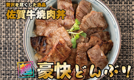 佐賀牛 A5 ランク保証！ 焼肉用 厳選部位 800g（400g×2P） C210-008