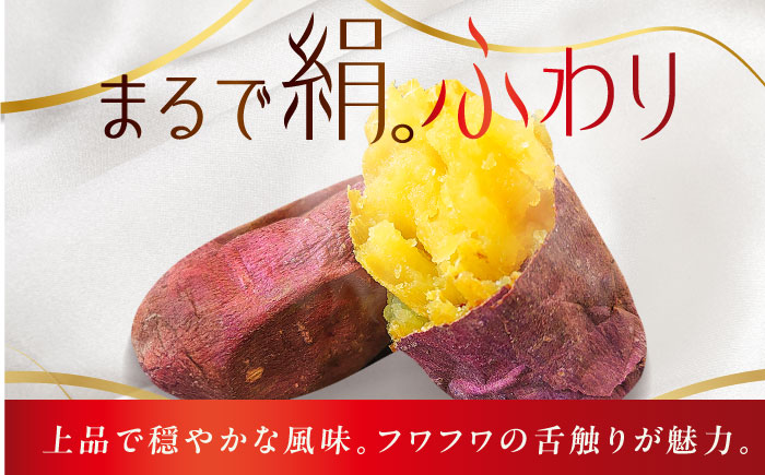 【6回定期便】焼き芋 ごとふわり（シルクスイート）300g×6袋 五島市/ごと[PBY037] レンジで簡単 サツマイモ おやつ 小分け さつまいも 芋