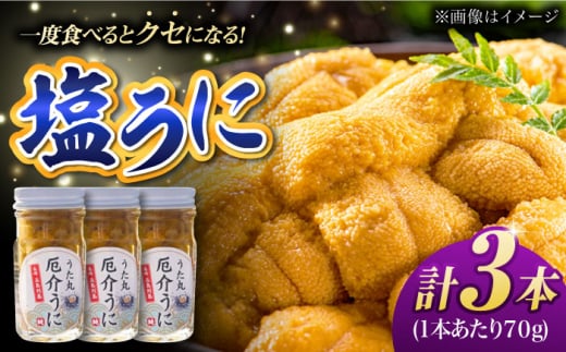 厄介うに ガンガゼの塩うに 70g×3本 五島市 / うた丸 [PGA001]  ウニ 雲丹 ガンガゼうに ガンガゼウニ 海鮮 魚介 長崎 九州 五島 五島列島 セット
