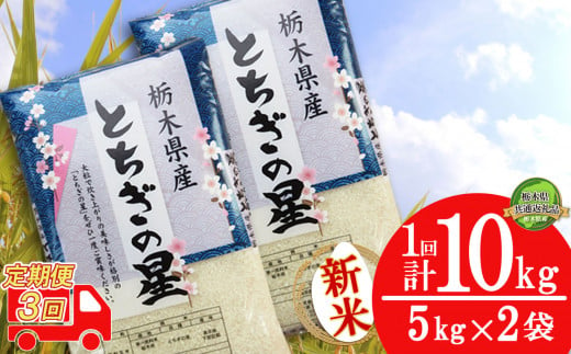 【定期便3回】献上米 特Aを受賞! とちぎの星 10kg （5kg×2袋） | 白米 精米 お米 コメ ブランド米 栃木県 特産品 栃木県共通返礼品 栃木県産 下野市 送料無料