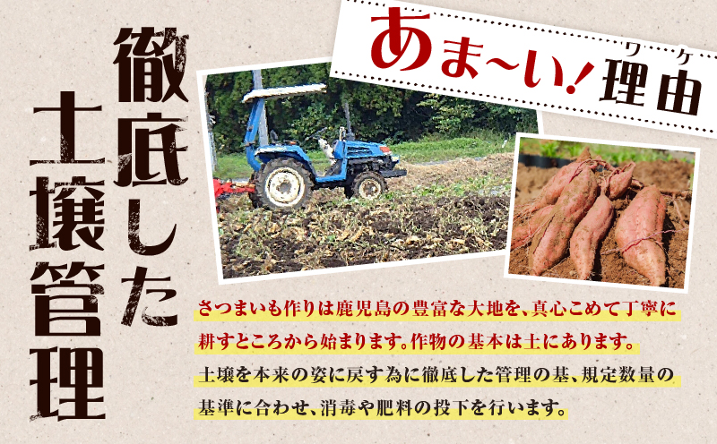 【2025年先行予約】畑の金貨　生芋　紅はるか2kg　K181-004