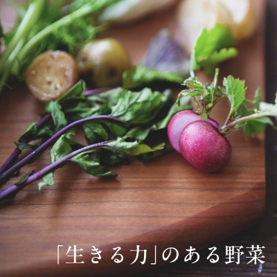 【毎月定期便】しあわせ野菜畑のシェフS セット　(訳あり規格外の有機野菜を一部使用)全6回【配送不可地域：離島・北海道・沖縄県・四国・九州】