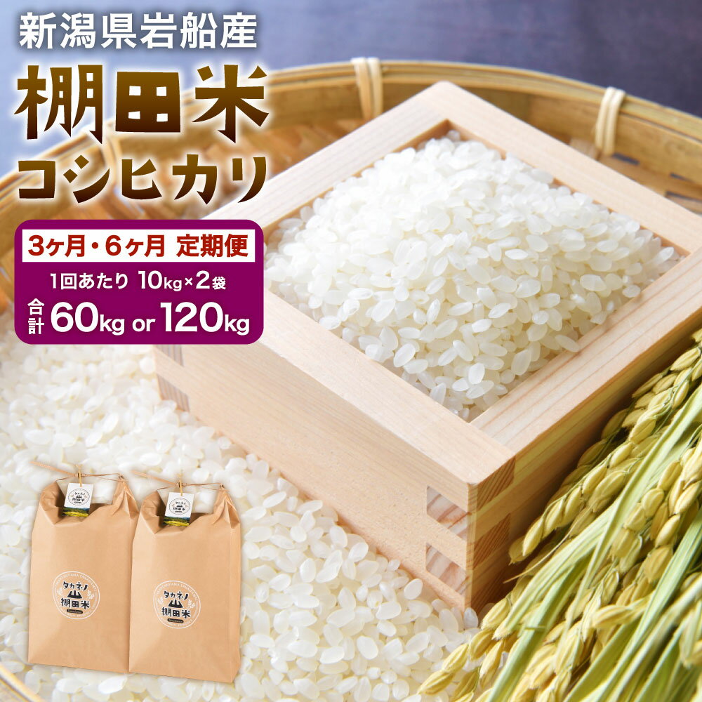 【ふるさと納税】【令和7年産米】【定期便】【お届け回数が選べる】新潟県岩船産 棚田米 コシヒカリ 1回あたり20kg 3回 もしくは 6回 米 精米 白米 ご飯 ごはん 村上市 E4012 F4009