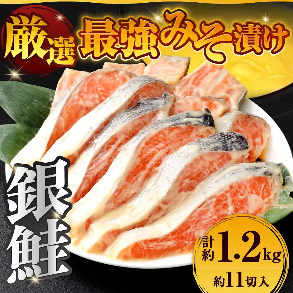 銀鮭 最強味噌漬け （ 約1.2kg （ 約11切入 ） ） 鮭 サケ さけ シャケ 魚 魚類 魚料理 切り身 焼き魚 味噌漬け 味噌 漬け 冷蔵
