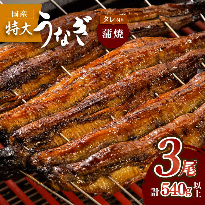 板前こだわりの国産うなぎ蒲焼 3枚セット【丸安】 [FAD002]