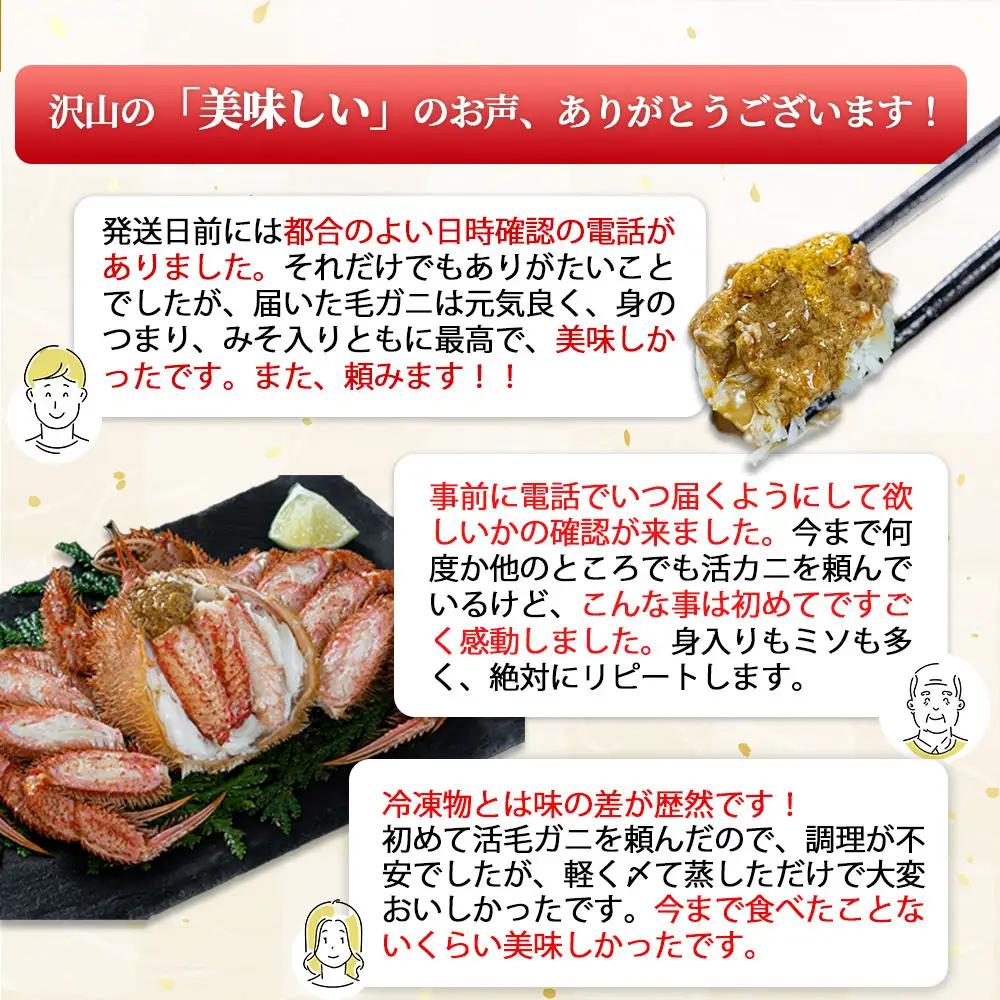 fn-40-001【出荷前にお電話します！】 活毛ガニ 1杯 (430g～530g) 三陸産【令和9年2月上旬～4月頃お届け】ヤマコー片桐鮮魚店