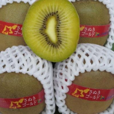 ふるさと納税 多度津町 さぬきゴールド キウイフルーツ 1.2kg化粧箱入り【A-113】 |  | 03