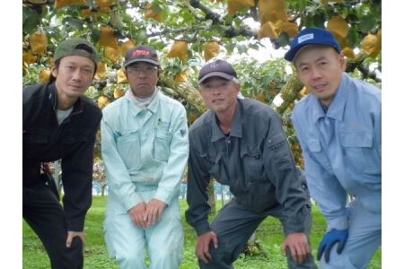 【先行予約】浜田市旭町産赤梨 3.5ｋｇ（新興）4～7玉＜11月上旬から発送開始予定＞ 梨 新興 ナシ 和梨 果物 フルーツ くだもの 【002_0924】